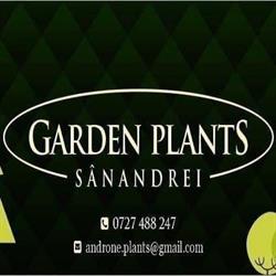 Garden Plants, Sânandrei