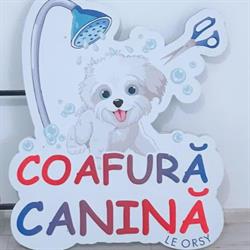 Coafură canină, Arad