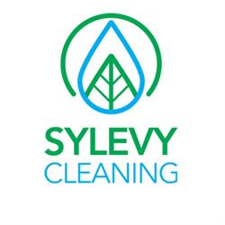 Sylevy Cleaning, Târgu Mureş