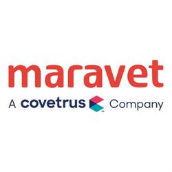 Maravet, Cicârlău
