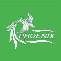 Şcoala de şoferi Phoenix Turda