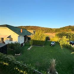 Bambuus Garden, Verdea