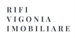 Rifi vigonia, Timişoara