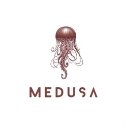 Medusa Universe, Bucureşti
