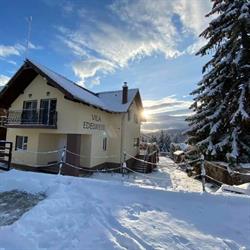 Vila Edelweiss, Păltiniş