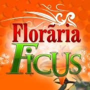Floraria Ficus, Bacău