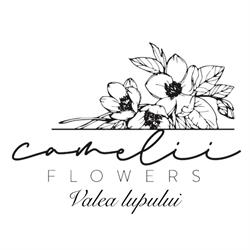 Camelii Flowers, Valea Lupului
