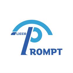 Licco Prompt, Arad