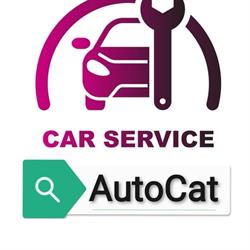 AutoCat, Bârlad