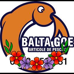 Balta Goe, Zebil