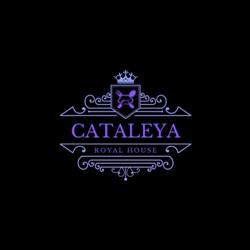 Cataleya Royal House, Botoşani