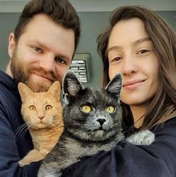 Cabinet Veterinar Famvet-DVH, Zalău