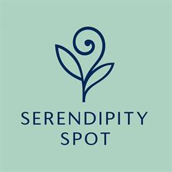 Serendipity Spot, Bucureşti