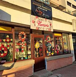 Floraria nicolas, Buhuşi