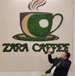 Caffee Zara, Tăşnad