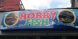 Hobby Fish, Oradea