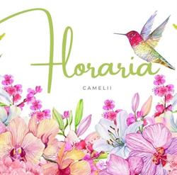 Floraria Camelii, Otopeni