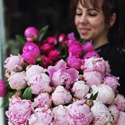 Floraria Szidy Flora Virágbolt, Târgu Mureş