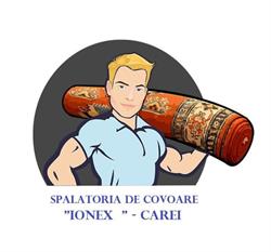 Spalatorie De Covoare IONEX Carei