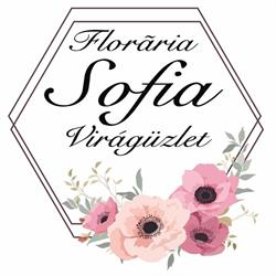 Florăria Sofia Virágüzlet, Satu Mare