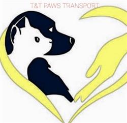 T&T PAWS TRANSPORT, Timişoara