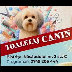 Aki's Toaletaj Canin, Bistriţa
