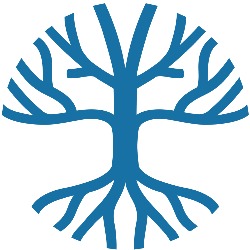 AOM World Marketing, Timişoara