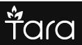 Scarlett Clothing International S.r.l., Bucureşti