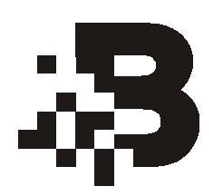 SC Bit Service Com SRL, Bucureşti