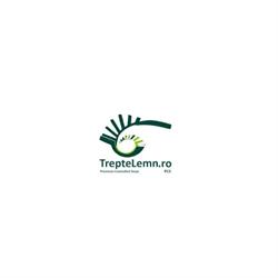 Trepte Lemn, Bucureşti
