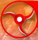 SC Compartner SRL, Timişoara