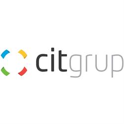 CIT Grup, Timişoara