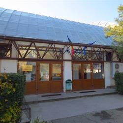 Club Sportiv Scolar Bega Timisoara