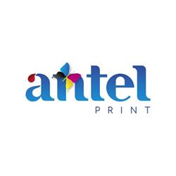 Antel Print S.R.L., Alba Iulia