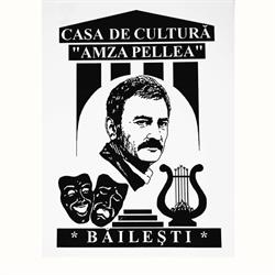Casa de Cultura Amza Pelea Bailesti