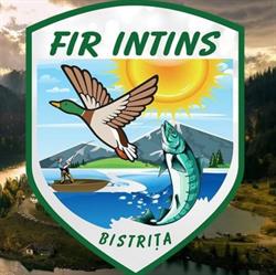 Fir Intins SRL, Bistriţa