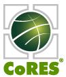 Cores Group, Timişoara