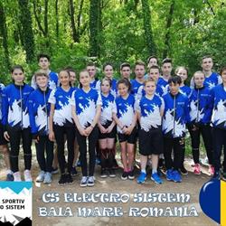 Electro-Sistem S.r.l, Baia Mare