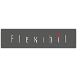 Flexibil S.r.l, Timişoara