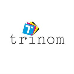 Trinom SRL, Arad