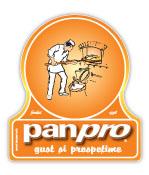Panpro S.r.l, Arad
