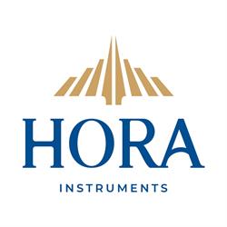 S.c. Hora S.a., Reghin