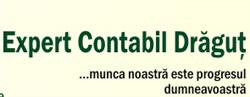 Expert Contabil Dragut S.r.l, Piteşti
