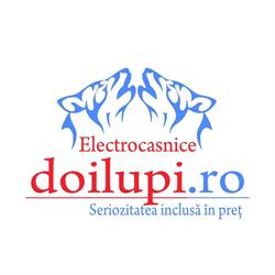 Doi Lupi Prest S.r.l, Beiuş