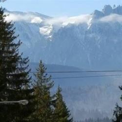 Telegraf Tours S.r.l, Braşov