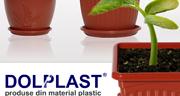 Dolplast SRL, Craiova