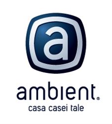 Ambient Depozit, Mediaş