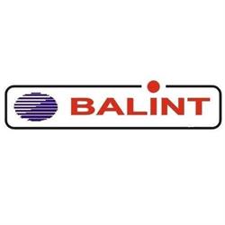 Service Auto Balint, Carei