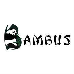 Bambus S.r.l, Vaslui
