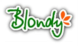 BLONDY ROMANIA srl, Târgu Mureş